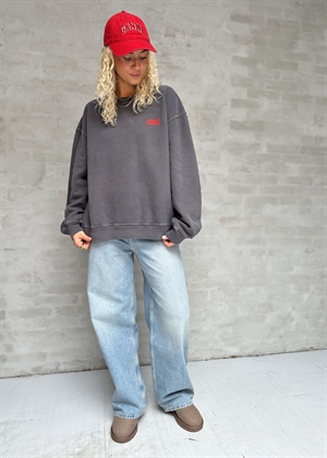 Plizzy oversize sweatshirt Ash American Vintage 